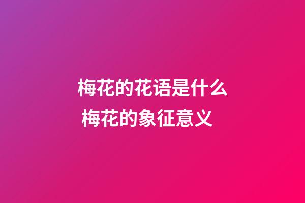梅花的花语是什么 梅花的象征意义